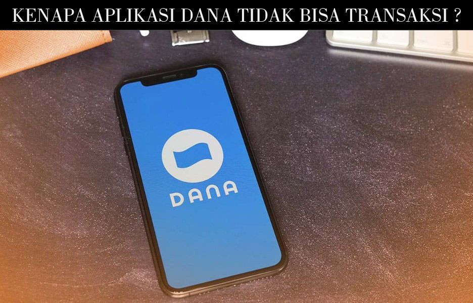 APLIKASI DANA EERROR