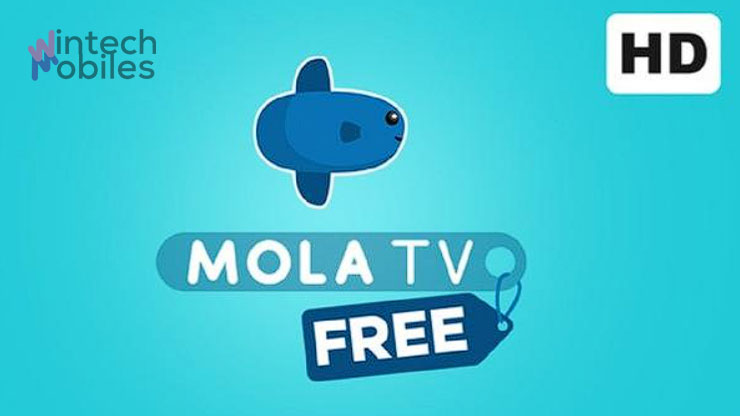 Cara Menonton Mola TV di HP Gratis