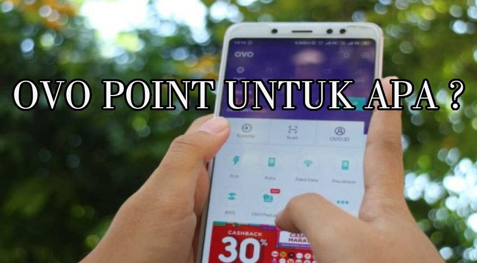 OVO POINT UNTUK APA