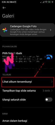 4. Klik Lihat Album Tersembunyi