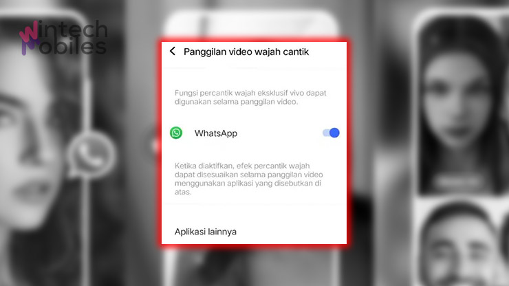 Cara Membuat Efek Beauty di Video Call Whatsapp Vivo Y12 Tanpa Aplikasi