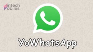 Download APK YoWhatsApp dengan Versi Terbaru