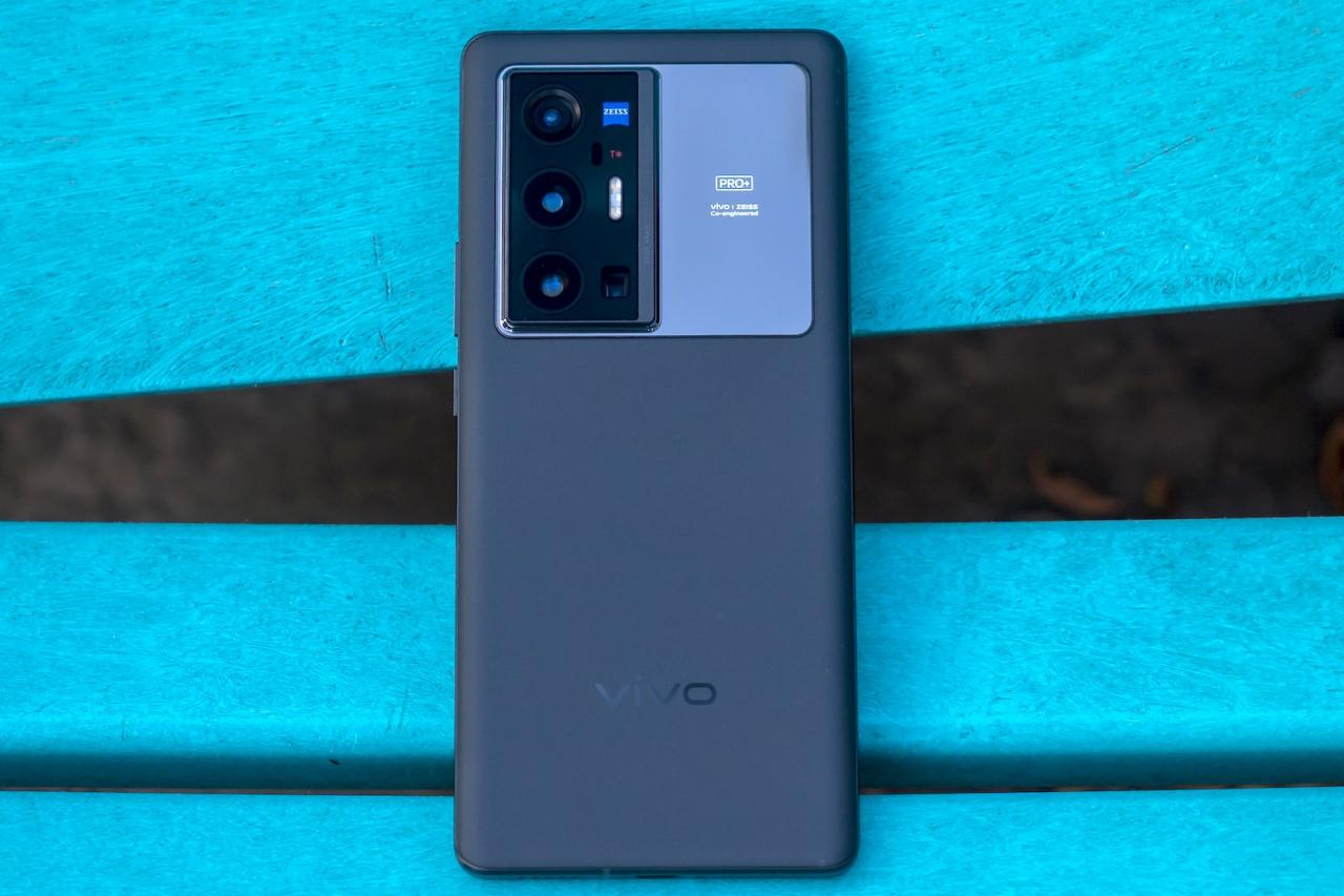 Vivo Mana yang Terbaik untuk Fotografi Profesional? 1 Vivo mana yang terbaik untuk kebutuhan fotografi profesional