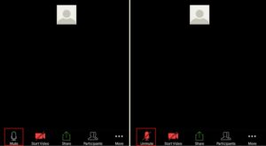 Mute switch